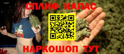 МДПВ Гусев
