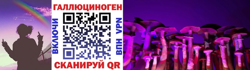 Галлюциногенные грибы Psilocybe  mega tor  Новороссийск  наркошоп 