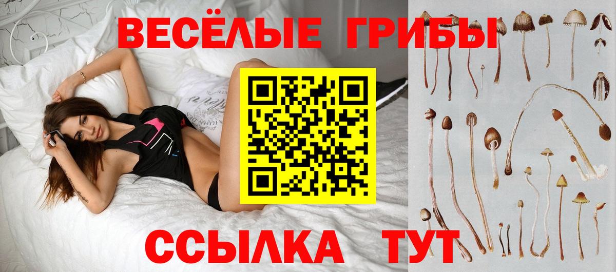 Псилоцибиновые грибы мухоморы Новороссийск